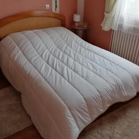 펜션 Cosy House Garden Free Parking